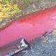 Why is this Russian river blood red?