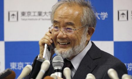 Japanese scientist wins Nobel for study of cell recycling