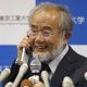 Japanese scientist wins Nobel for study of cell recycling